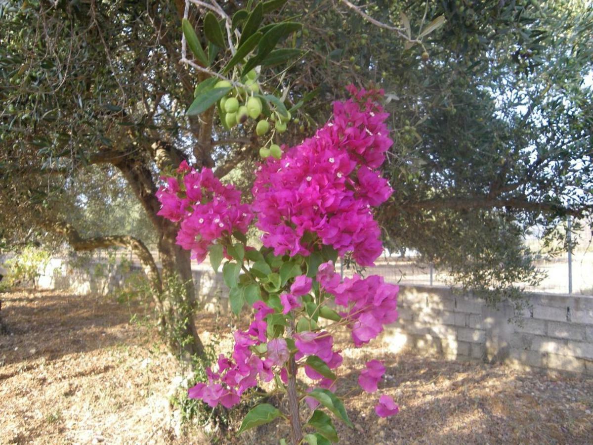 Holiday home Margaret's House Livathos (Kefalonia)